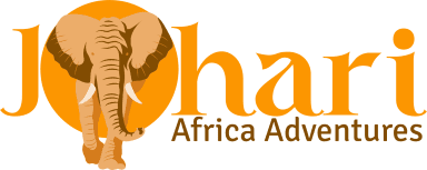 Johari Africa Adventures Logo fulllogo transparent SMALLEST