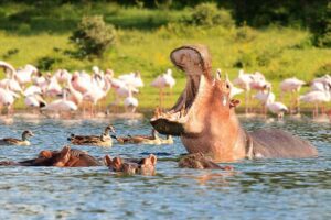 Crescent Island Lake Naivasha