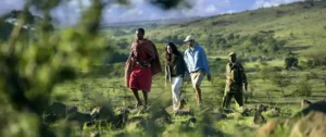 Ecotourism and sustainable travel practices on your African safari tour