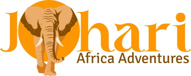 Johari Africa Adventures Logo fulllogo transparent SMALLEST