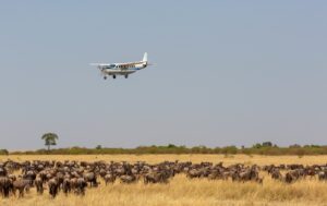 Kenya flying safaris