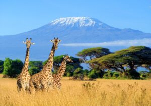 Mount Kilimanjaro National Park