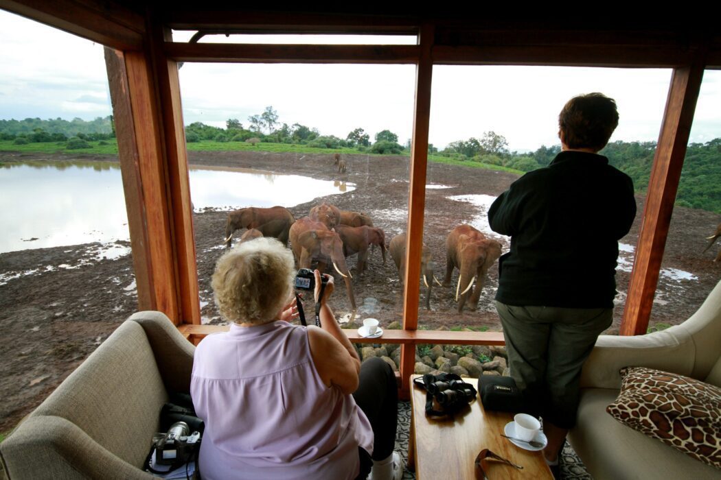 The Ark Lodge the best safari lodges in Kenya scaled