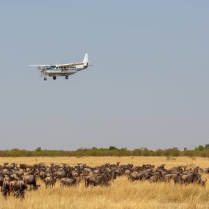 Kenya flying safaris