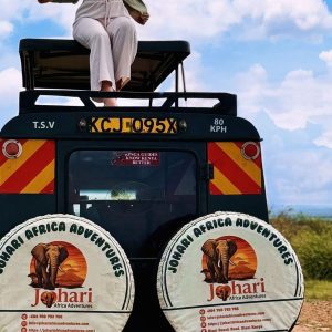 Johari Africa Adventures guest enjoying views on 4x4 jeep - book the best Kenya luxury safari tour packages from Nairobi, Diani, Mombasa, Malindi and Watamu - www.johariafricaadventures.com