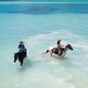 Beach Horse Riding Adventure in Diani - one of the best things to do in Diani beach with Johari Africa Adventures