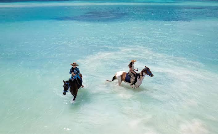 Beach Horse Riding Adventure in Diani - one of the best things to do in Diani beach with Johari Africa Adventures