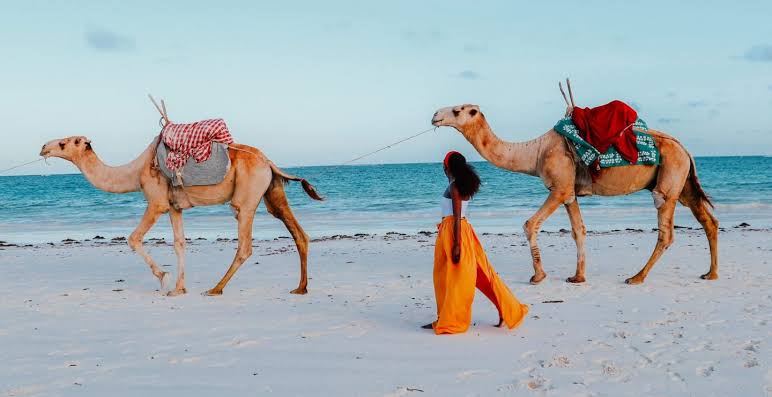 Enjoy a Camel Ride Along Diani Beach - one of the best things to do in Diani beach with Johari Africa Adventures