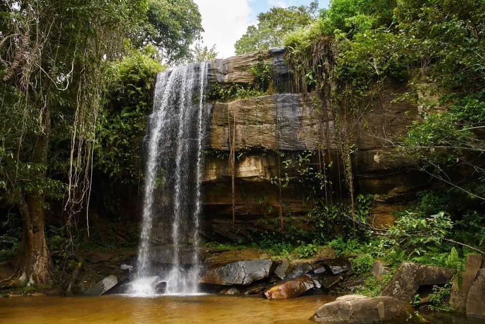 Explore Shimba Hills National Reserve - one of the best things to do in Diani beach with Johari Africa Adventures