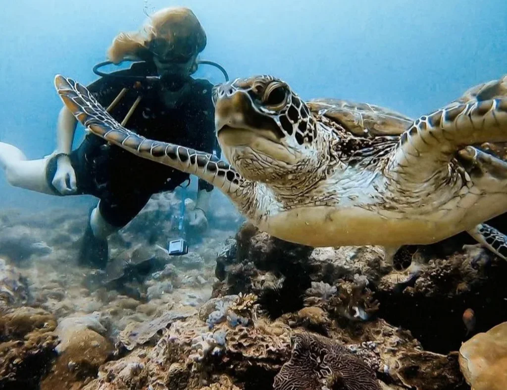 Scuba diving - one of the best things to do in Diani beach with Johari Africa Adventures