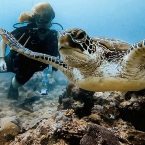 Scuba diving - one of the best things to do in Diani beach with Johari Africa Adventures