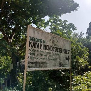 Visit the Sacred Kaya Kinondo Forest - one of the best things to do in Diani beach with Johari Africa Adventures