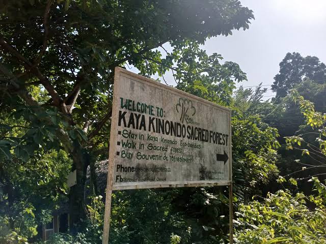 Visit the Sacred Kaya Kinondo Forest - one of the best things to do in Diani beach with Johari Africa Adventures