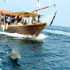 Wasini Island Day Trip from Diani - one of the best things to do in Diani beach with Johari Africa Adventures