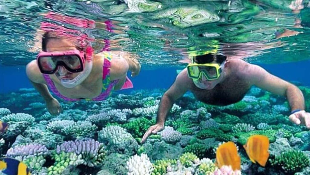 snorkeling at Kisite Mpunguti diani beach - one of the best things to do in Diani beach with Johari Africa Adventures