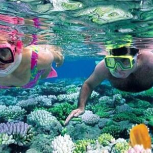 snorkeling at Kisite Mpunguti diani beach - one of the best things to do in Diani beach with Johari Africa Adventures