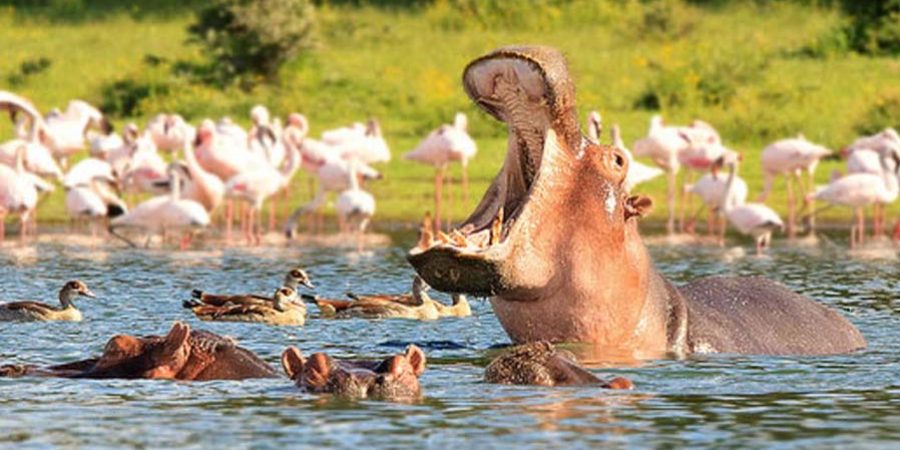 Crescent Island Lake Naivasha