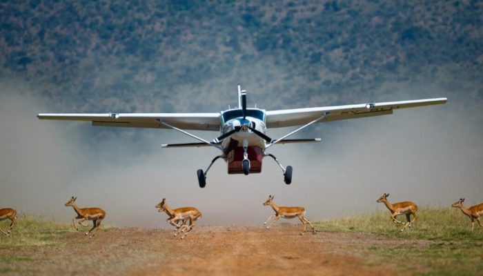 Kenya Flight safari tours Adeli Kenya Safaris Kenya Flight safari tours Adeli Kenya Safaris
