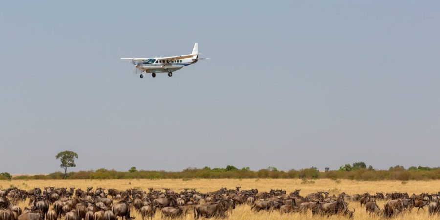 Kenya flying safaris