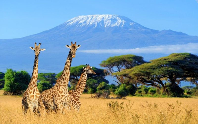 Mount Kilimanjaro National Park