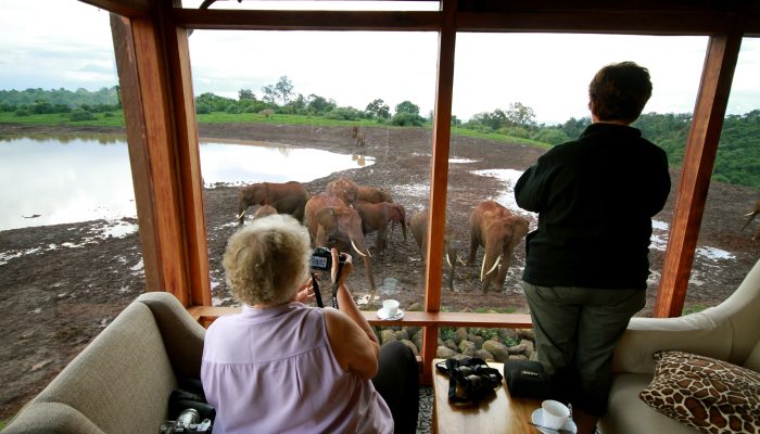 The Ark Lodge the best safari lodges in Kenya