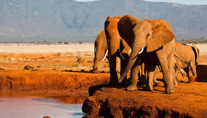 Tsavo West National Park