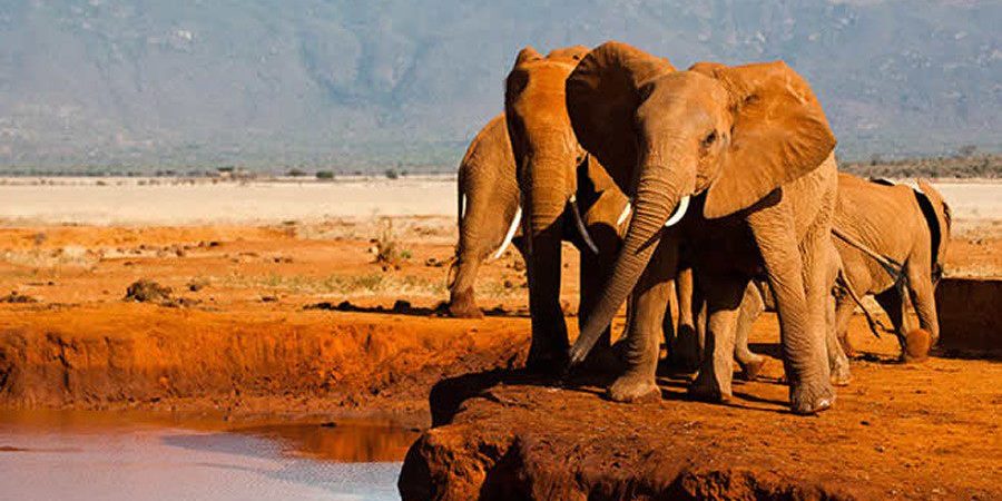 Tsavo West National Park