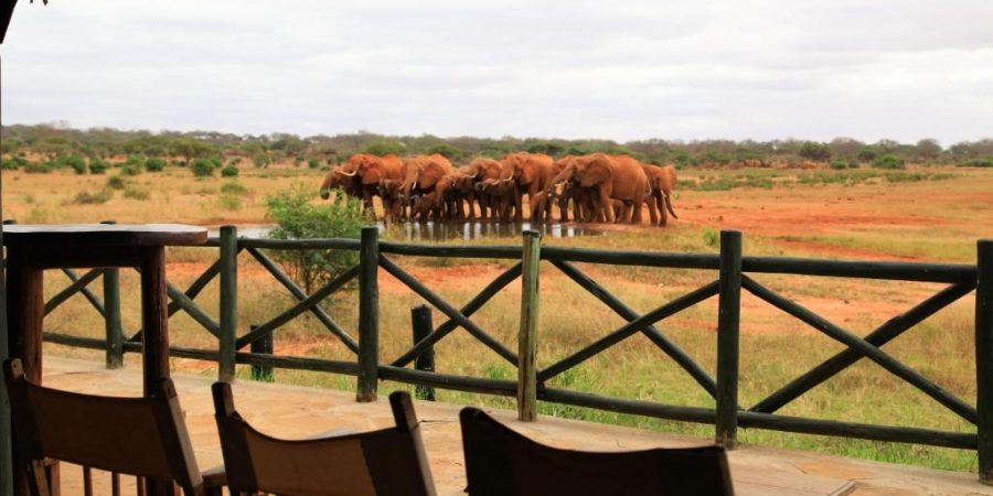 Voi Wildlife Lodge - Tsavo West National Park, Kenya