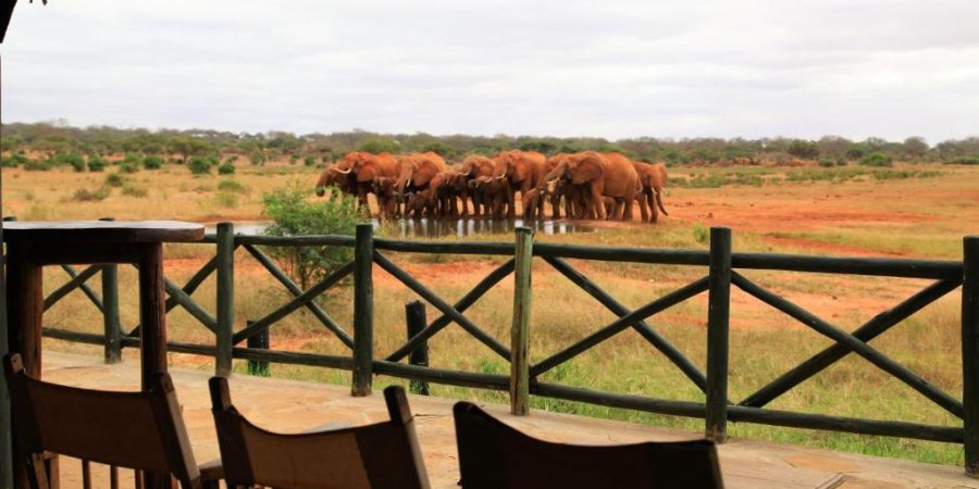 Voi Wildlife Lodge Tsavo West National Park Kenya